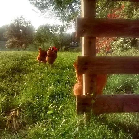 Сasa de vacaciones Les Gites Du Moulin Villevieille